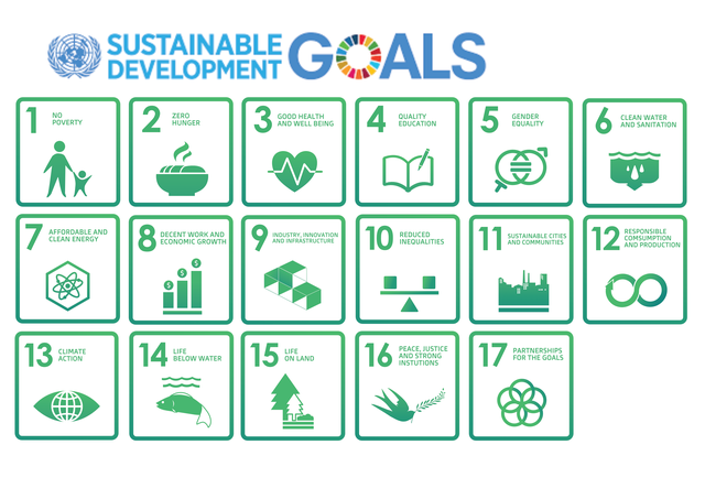 ZP aligns with UN Sustainable Development Goals