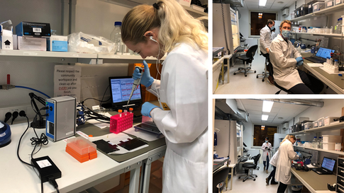 Busy in the ZP Biosensor Labs