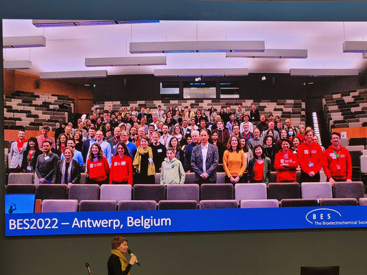 ZP - Soil nitrate sensor