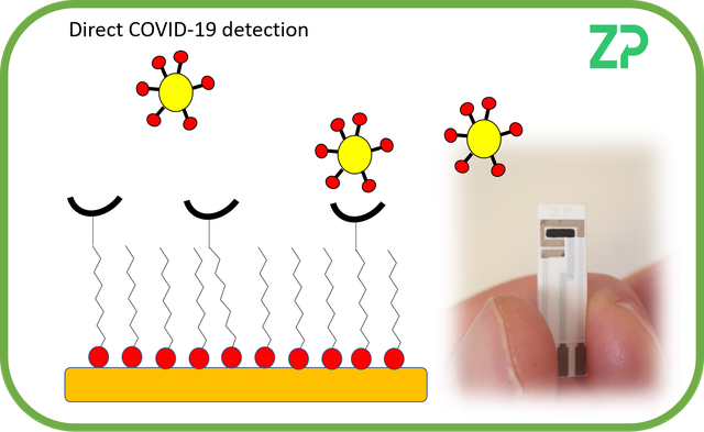 ZP launches NADH sensitive screen printed electrode