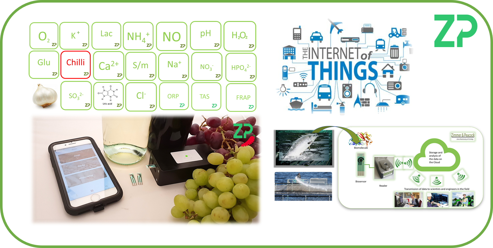 Biochemical sensors and IoT