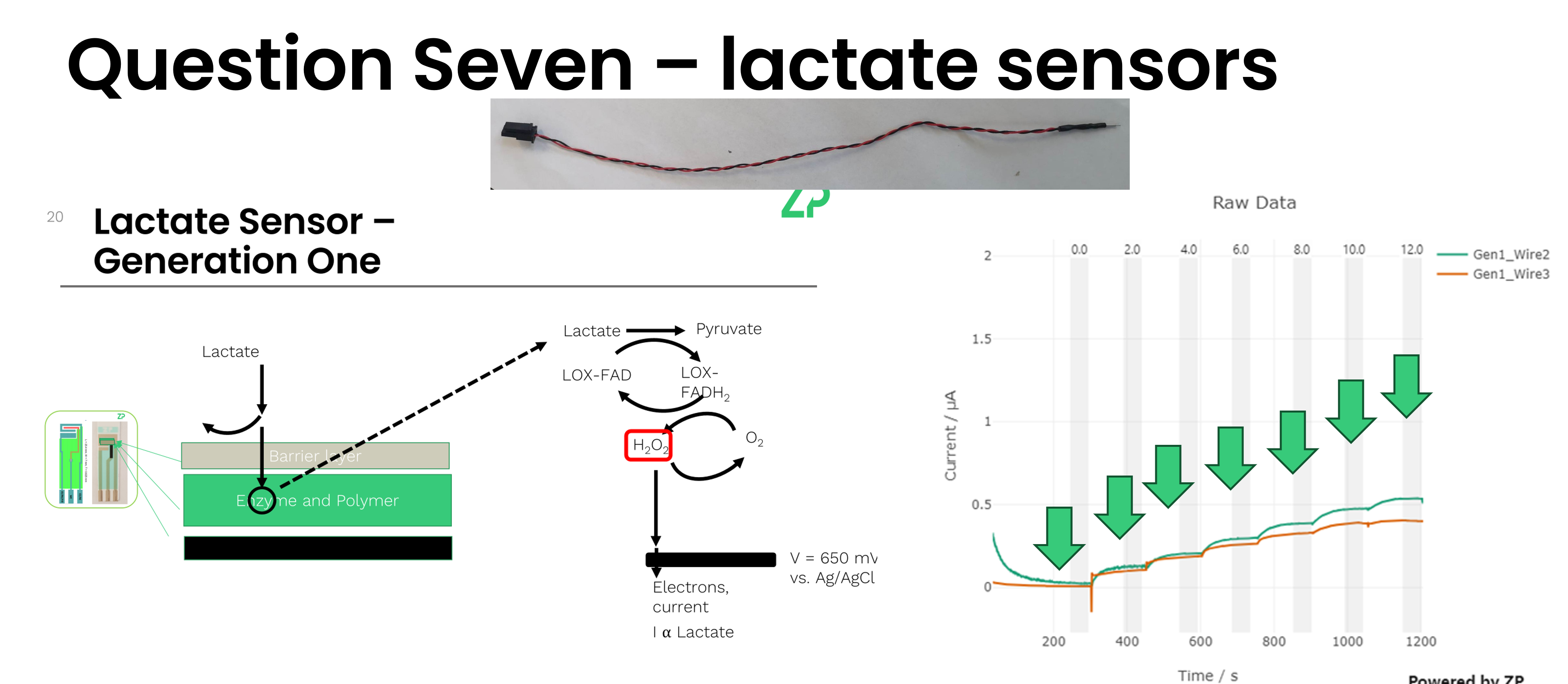 Electrochemical lactate sensors