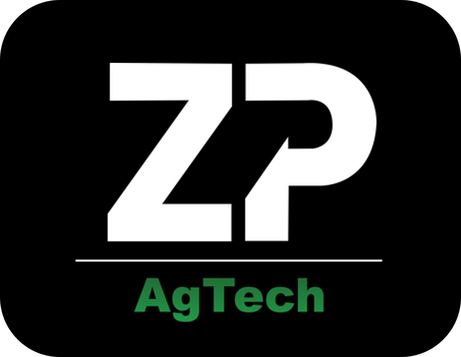 We are looking for a CEO