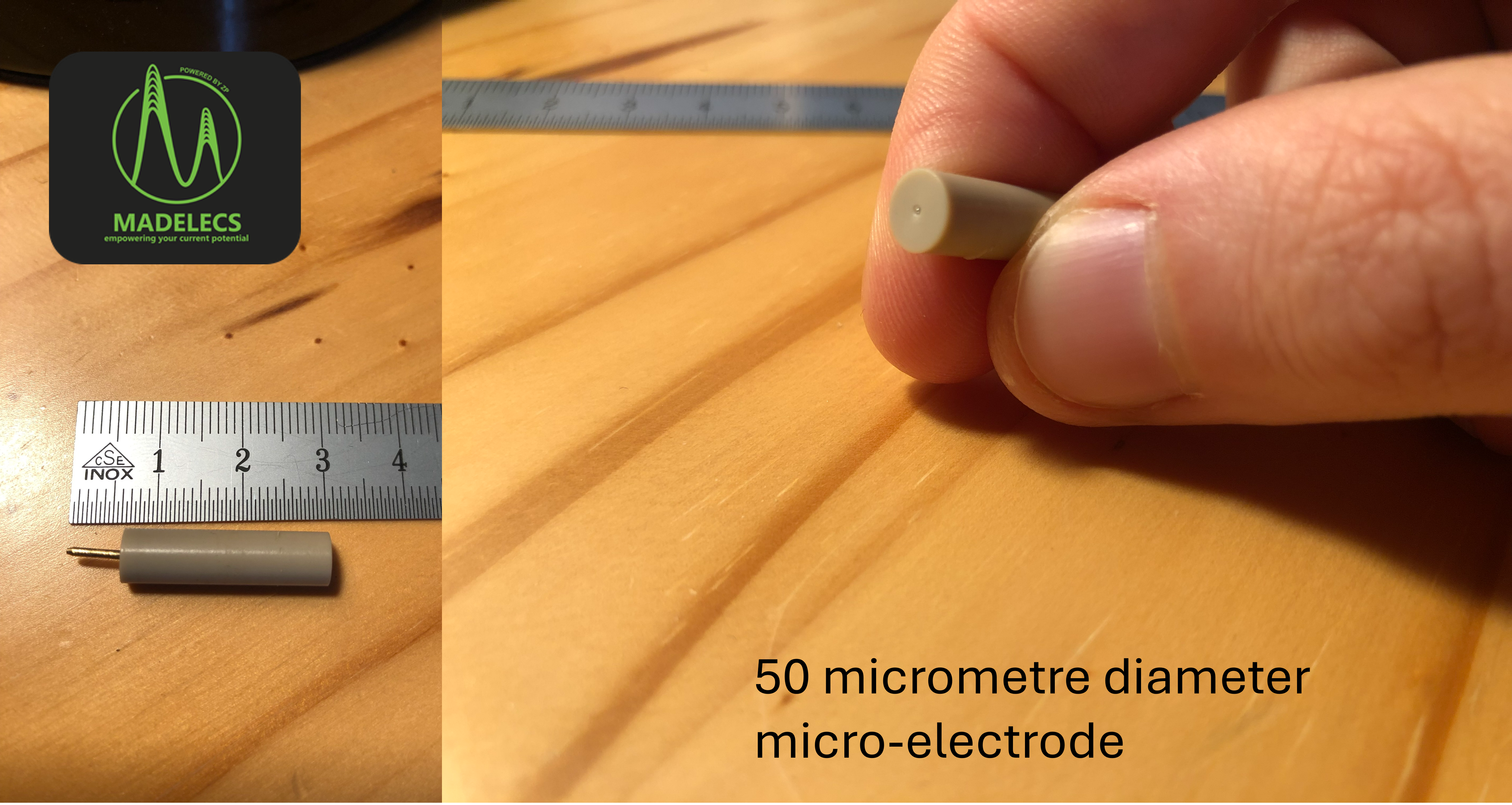 Microelectrodes from ZP