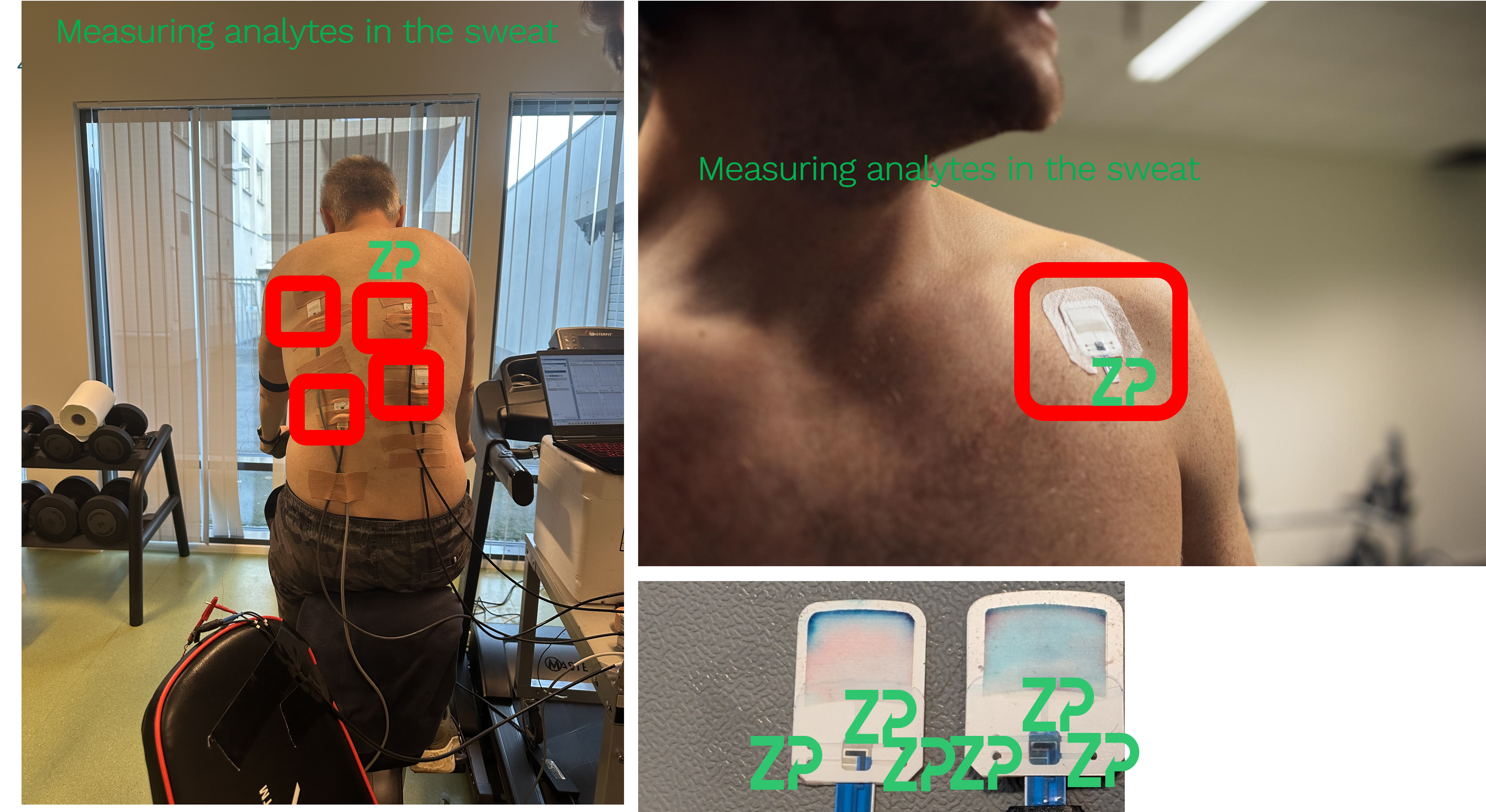 Measuring potassium in sweat and urine