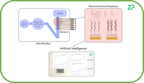 ZP - Molecular IVD development and manufacturing services