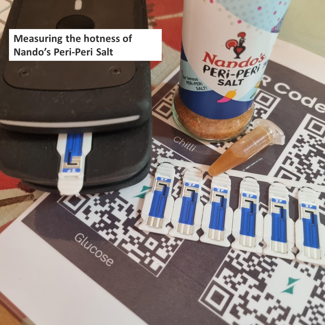 Testing Nando's Peri-Peri Salt