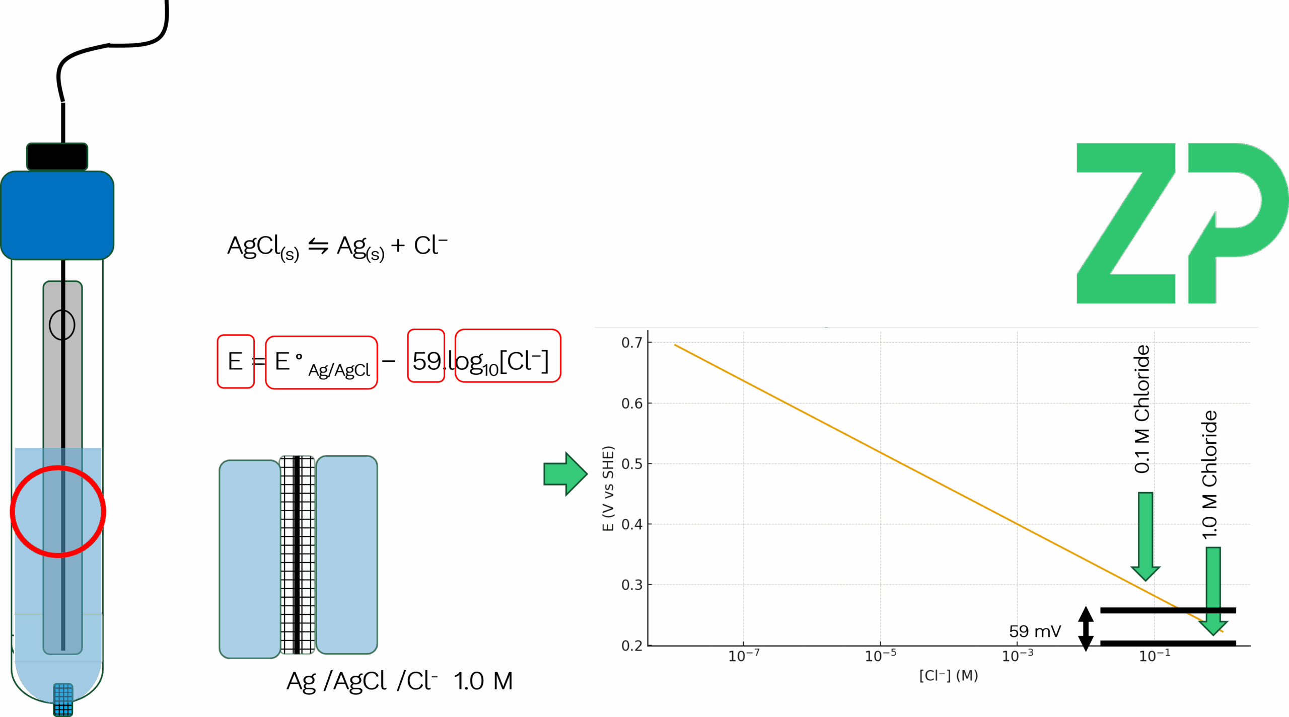 nernst equation in the reference electrode