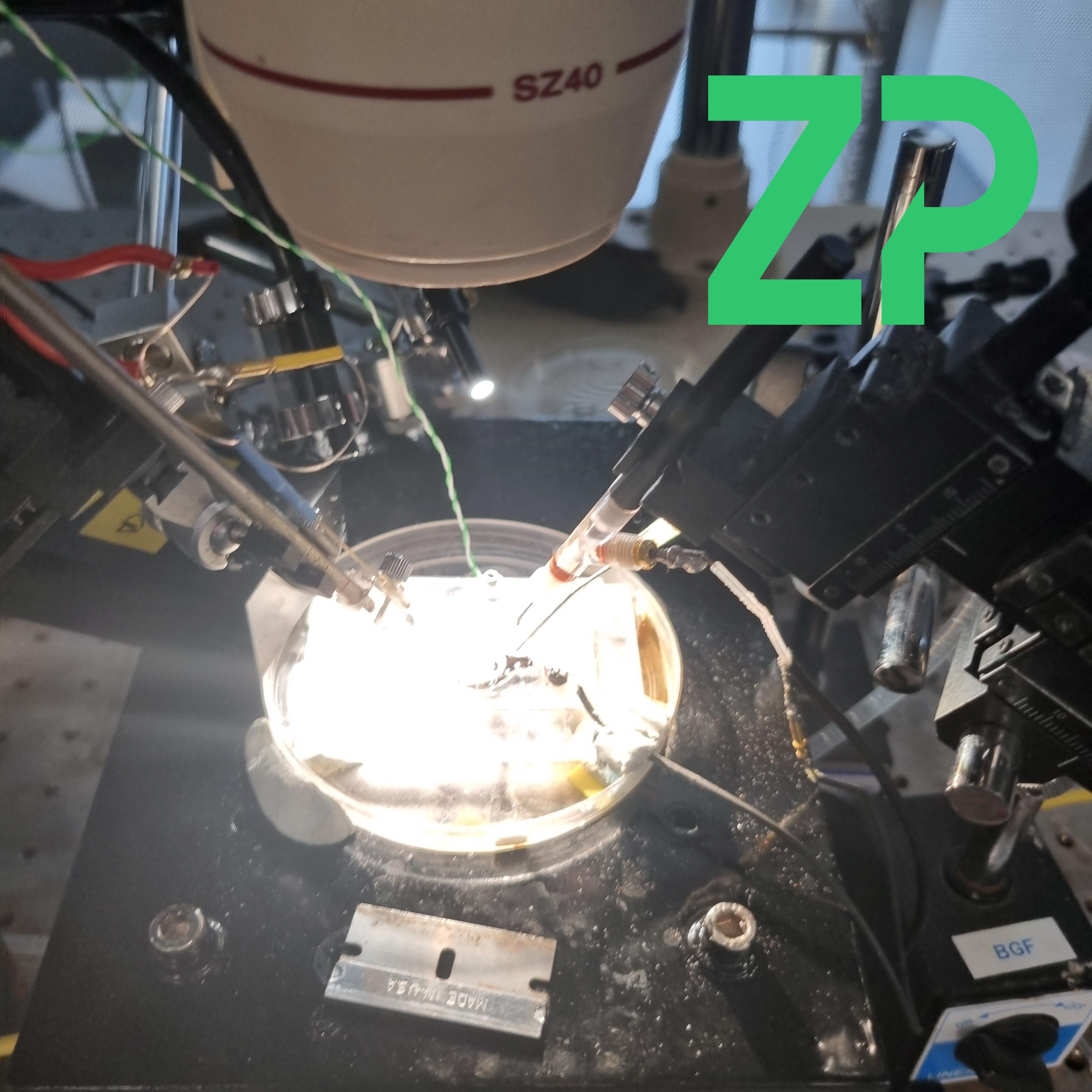 Biosensors in Neuroscience