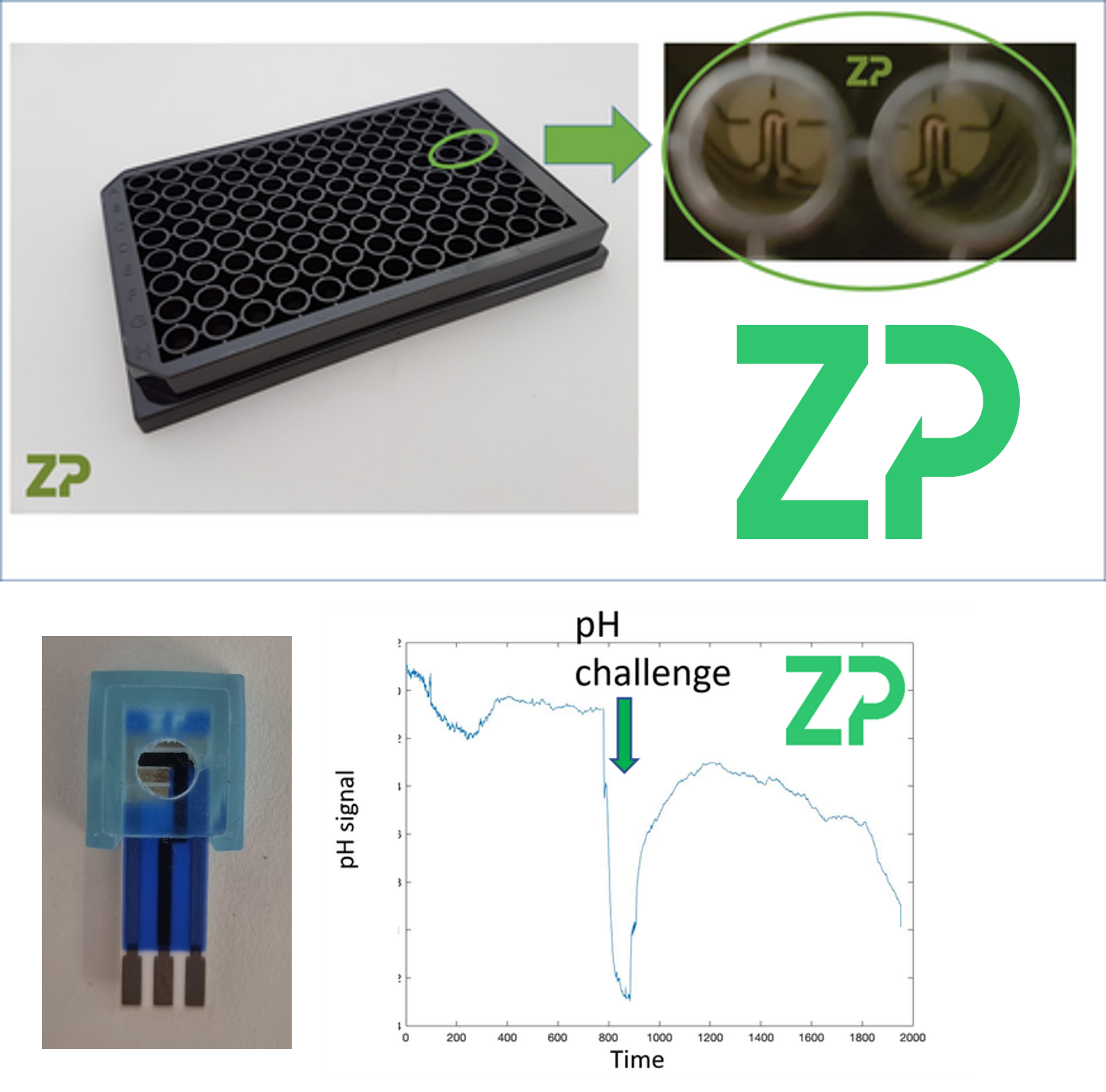 pH in microwellsver2
