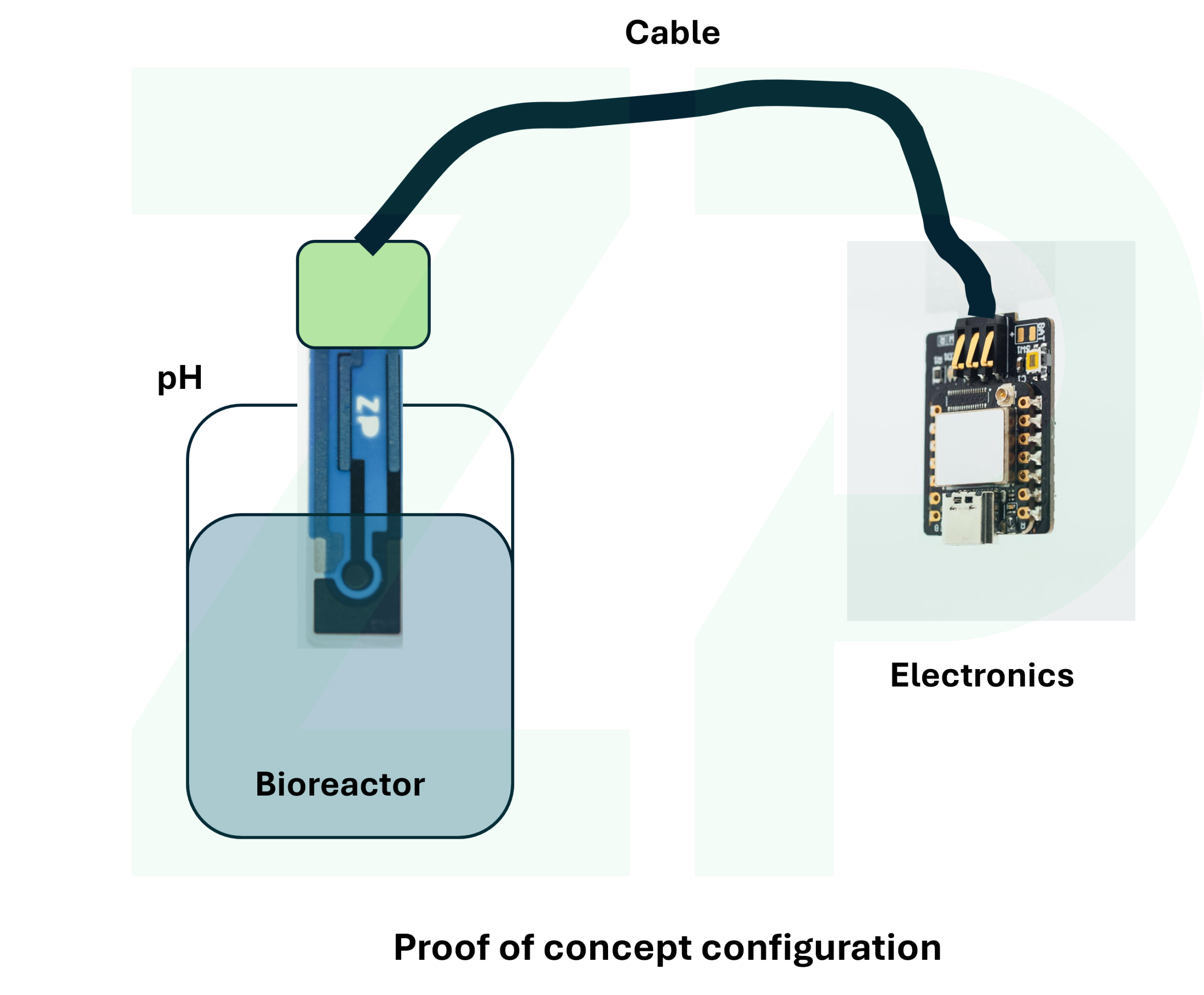pH sensors for bioreactor developers