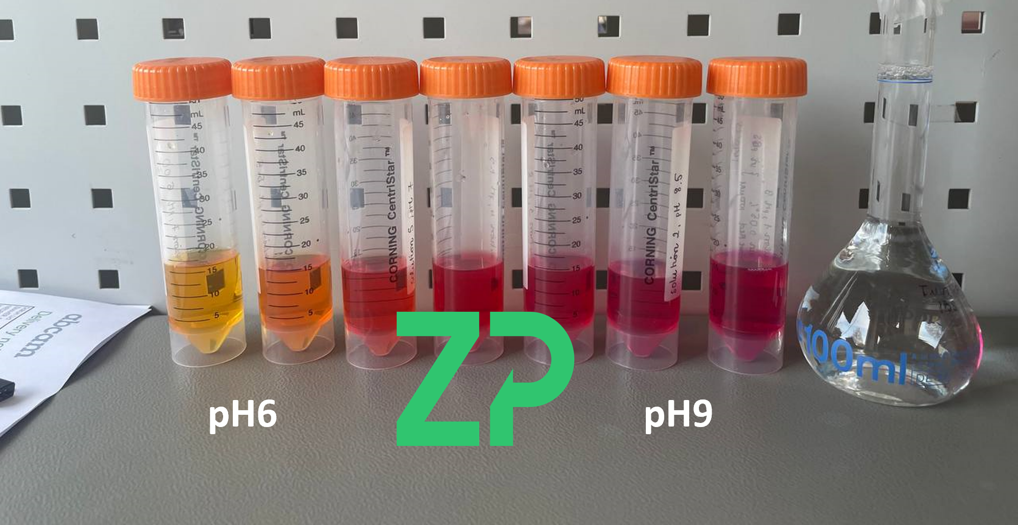 Solid state pH sensors ZP