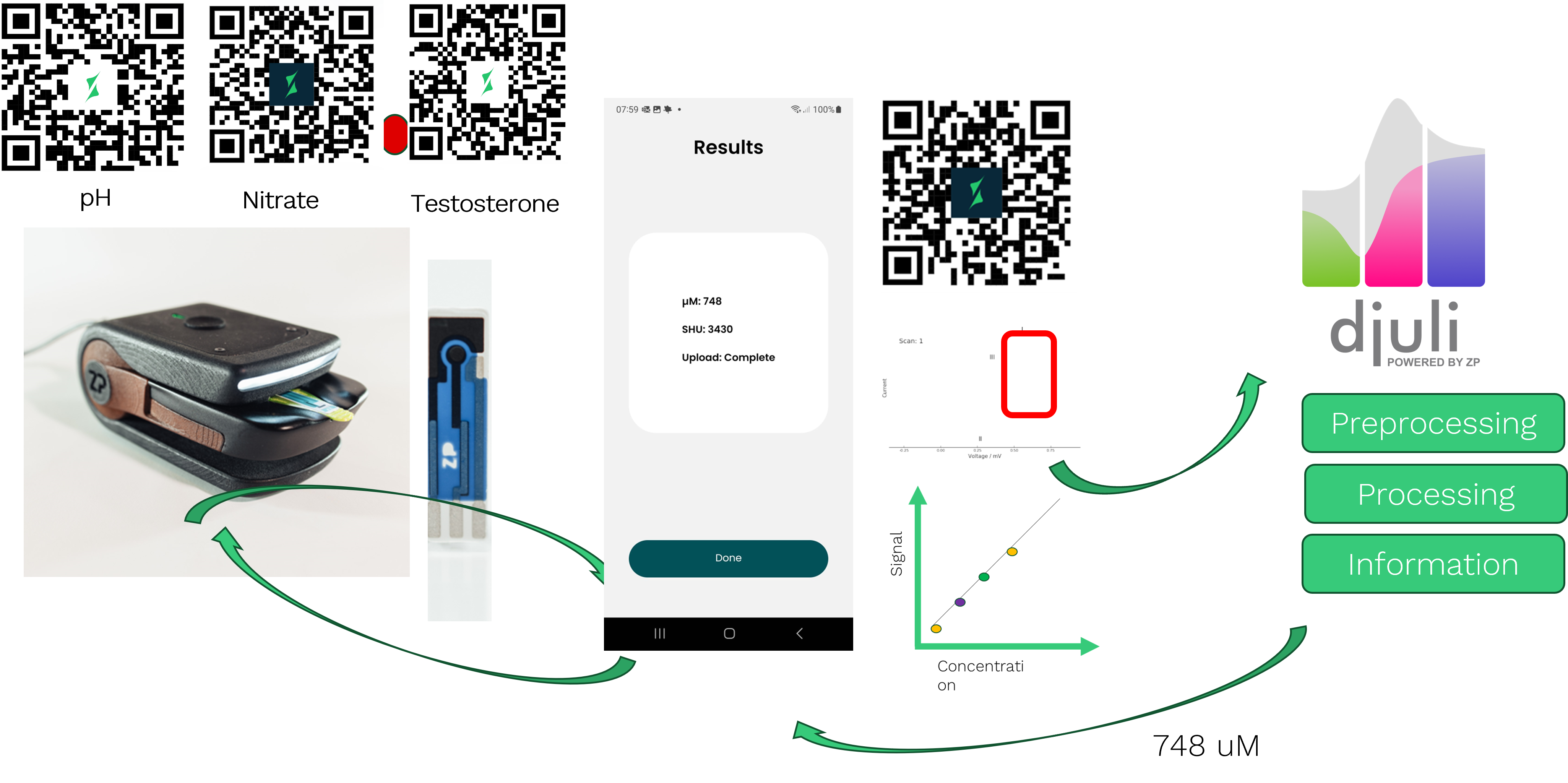 Multi-analyte detection: purine, pH, nitrate, hormones/testosterone