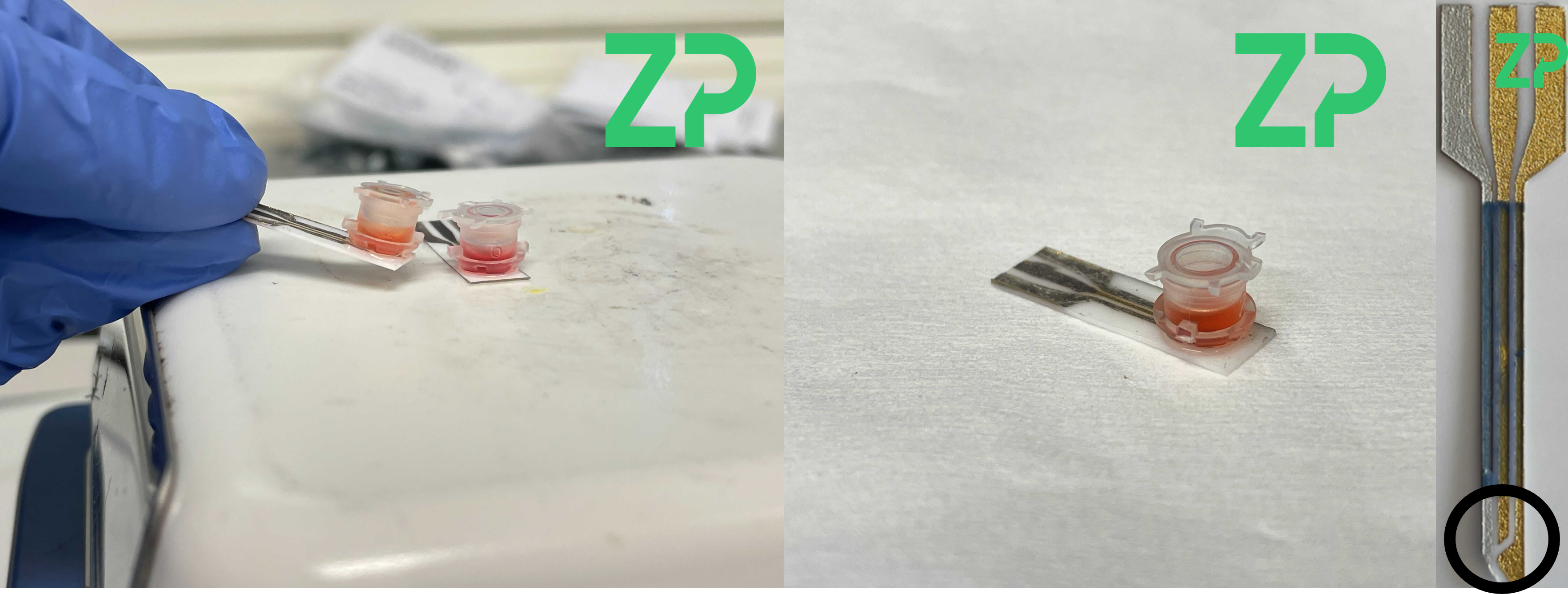 ZP adds microreactors to electrodes