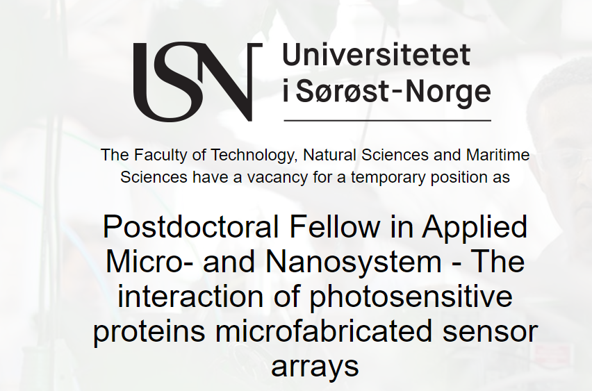 USN Postdoc Fellow in ISFET - recommendation from ZP