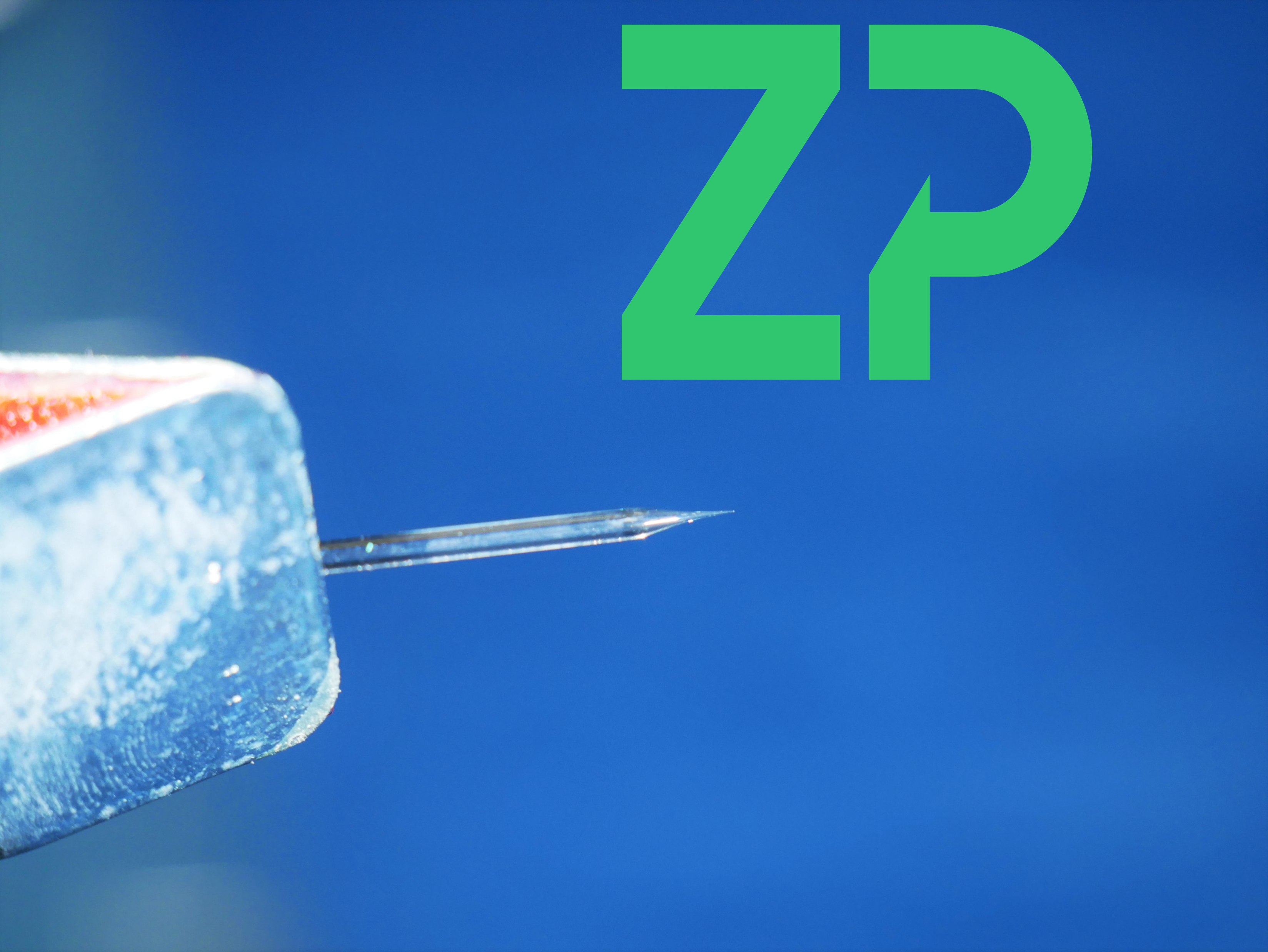 Pre-pulled capillaries and pipettes @ZP