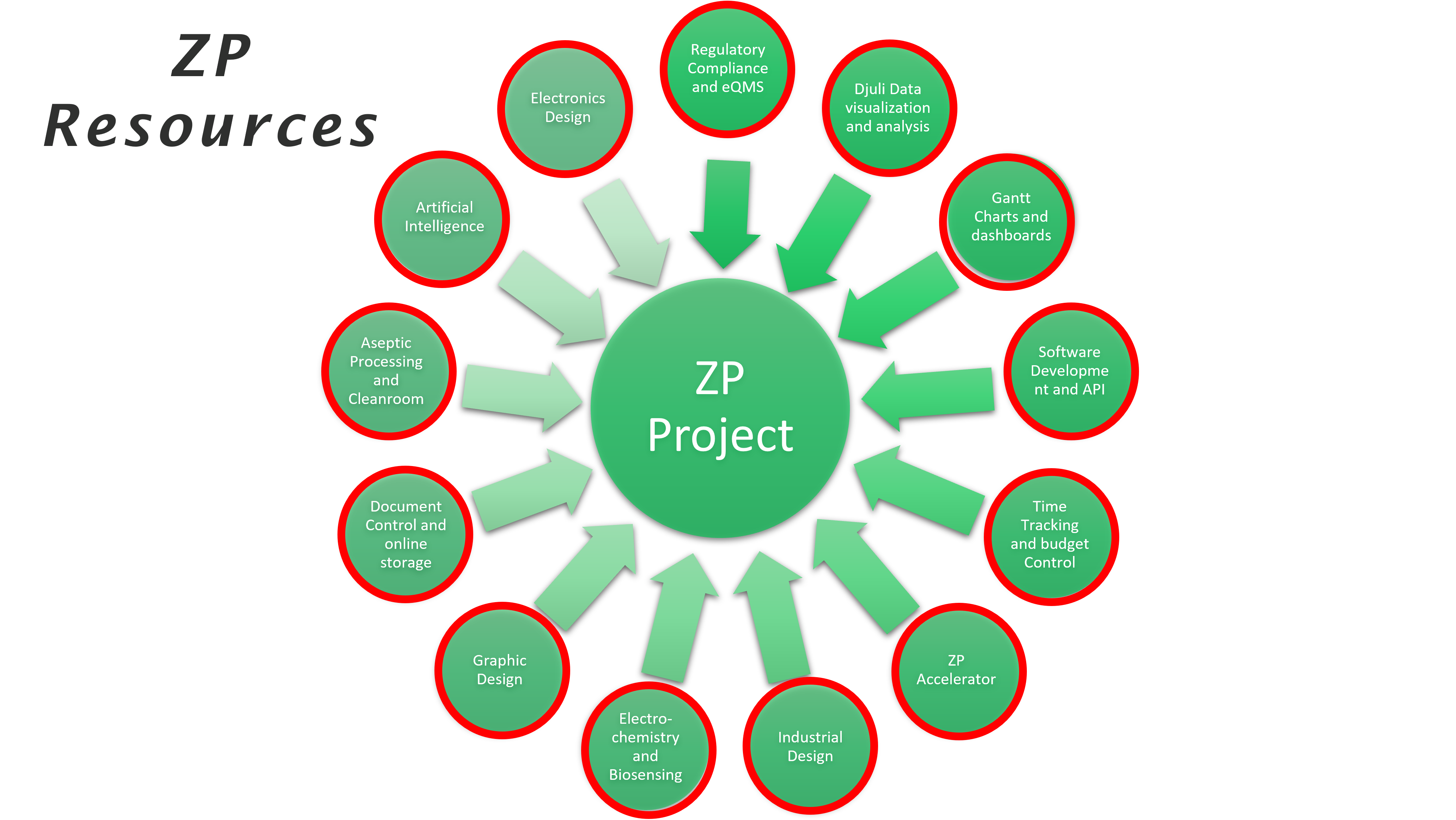 Resources brought to a ZP Project Programme