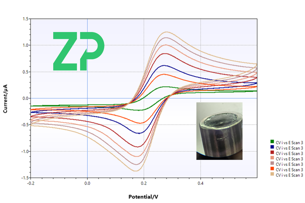 Rod Sensors/Electrodes