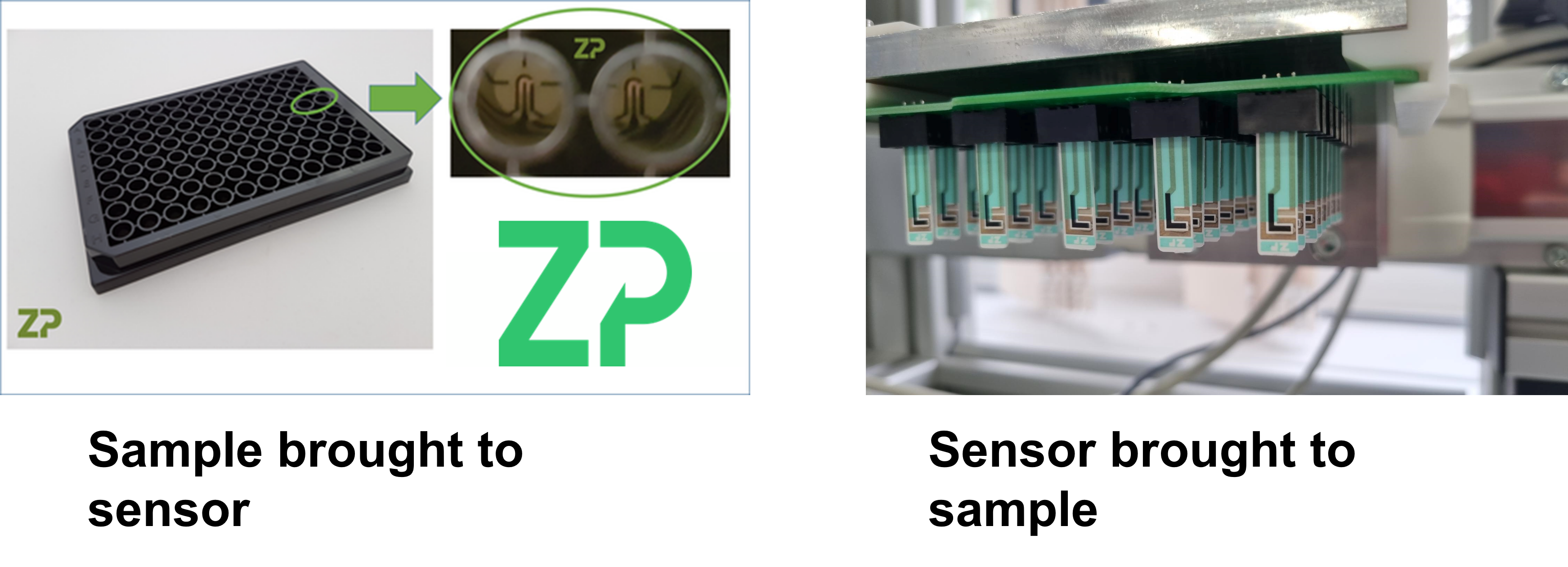 Sample to Sensors vs. Sensor to Sample