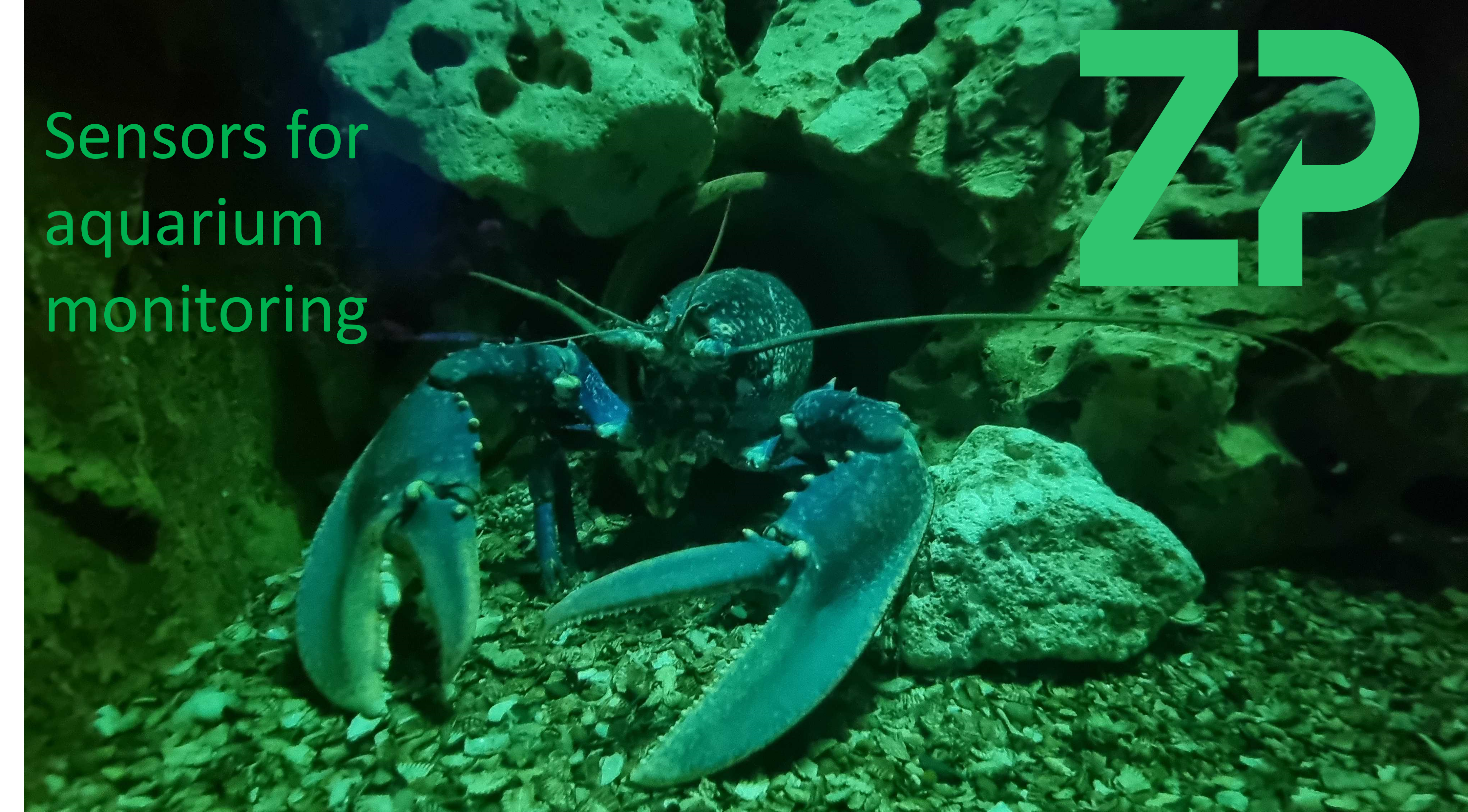 Sensors for Aquarium Applications