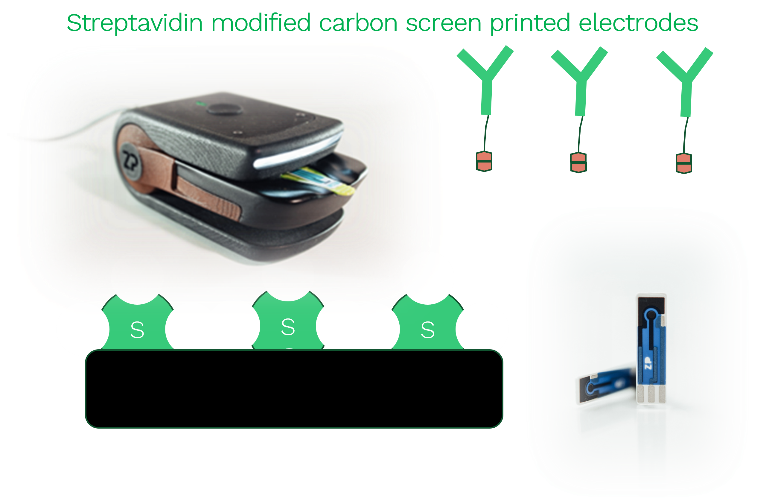Streptavidin modified carbon screen printed electrodes (SPCE)