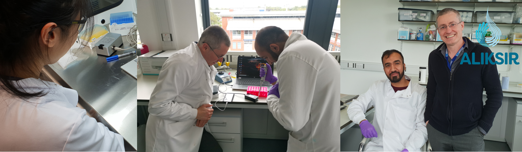 The team grows at Aliksir