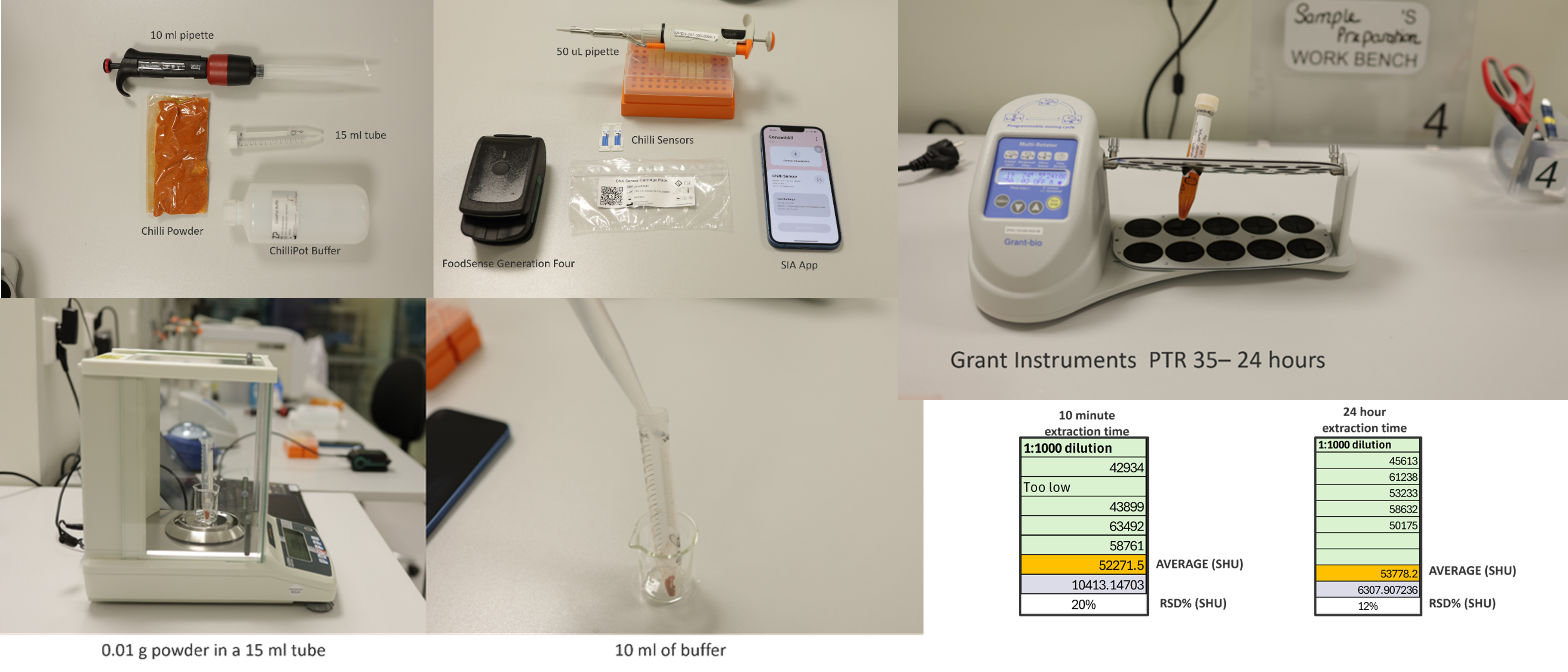 FoodSense Weekly Webinar - chilli powder