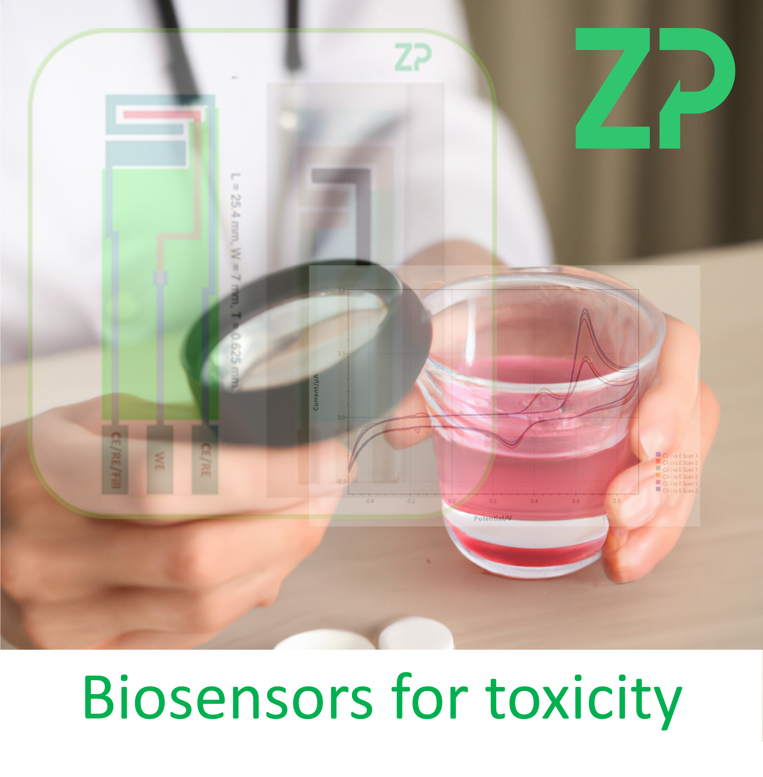 Biosensors for Toxicity