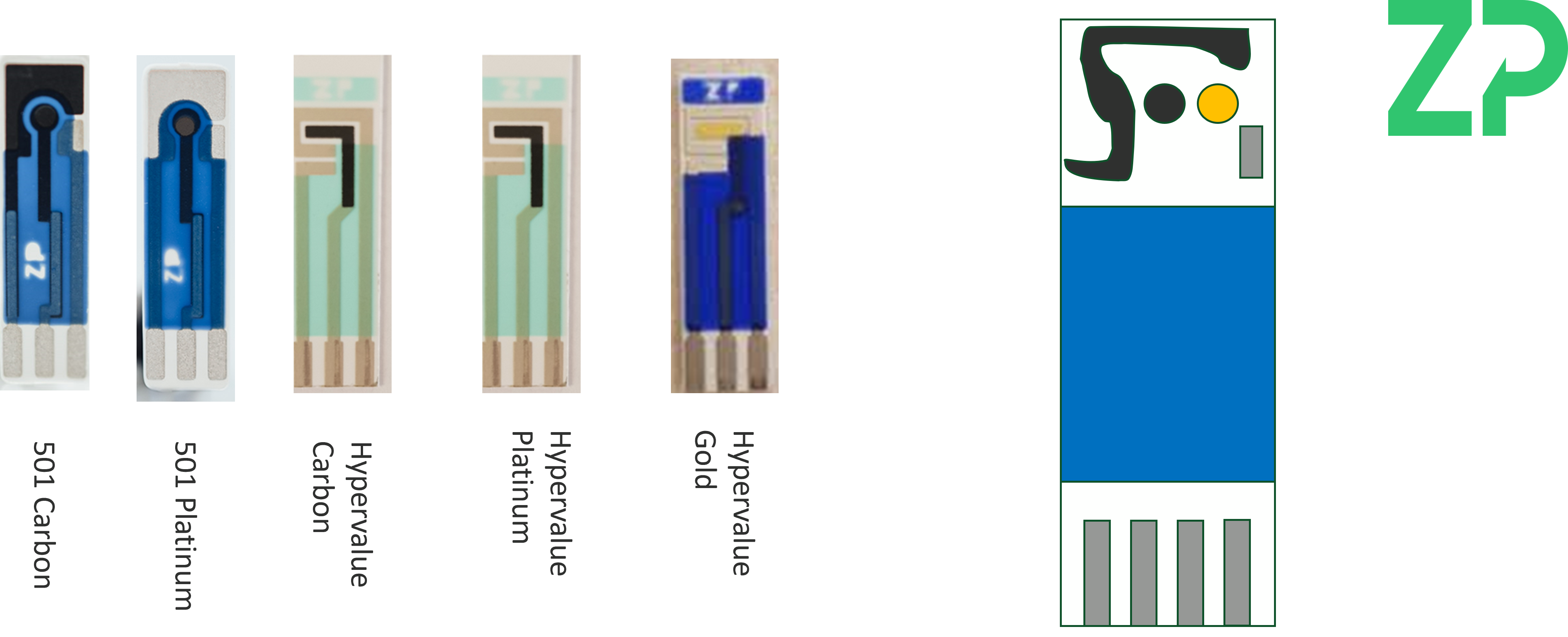 Two working electrode screen printed electrodes