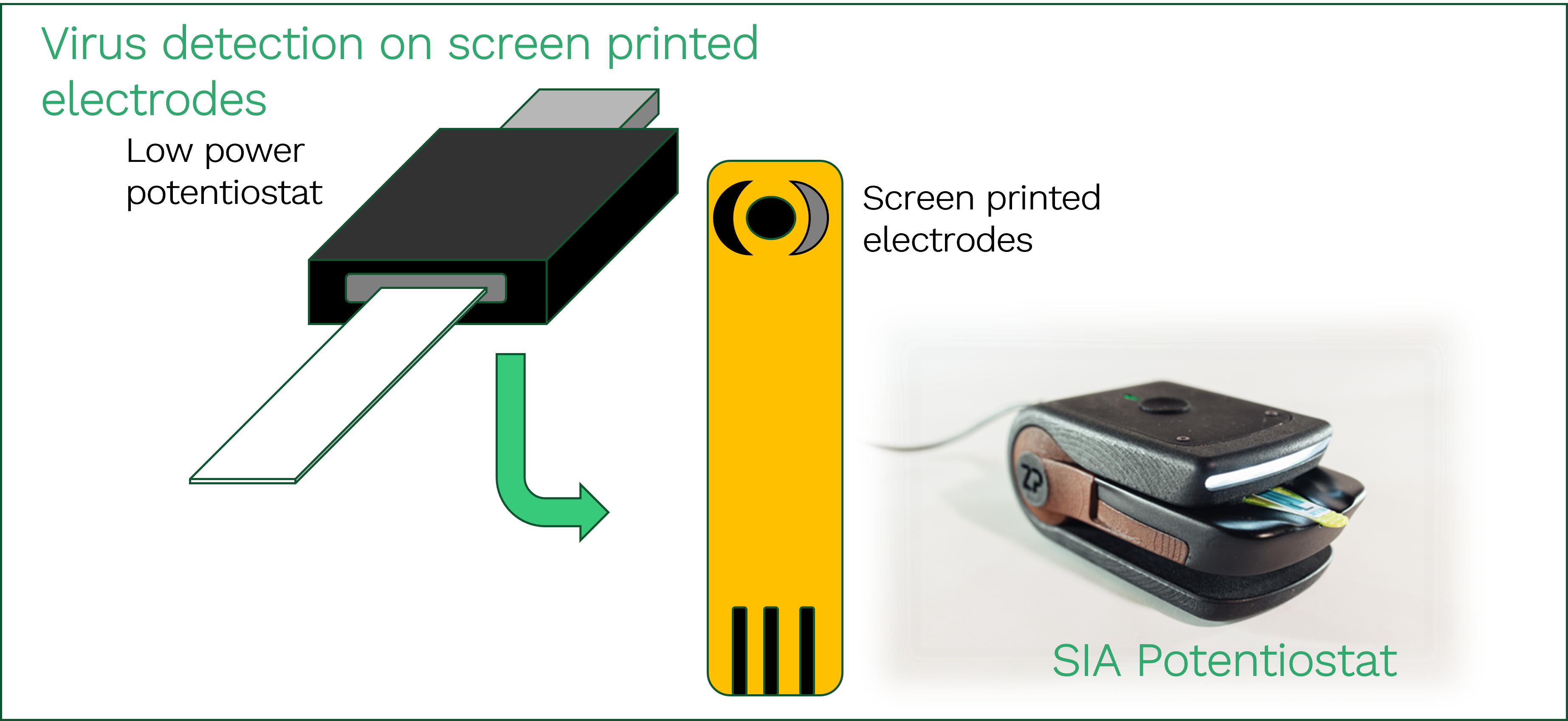 Screen printed electrodes and potentiostats for viral detection