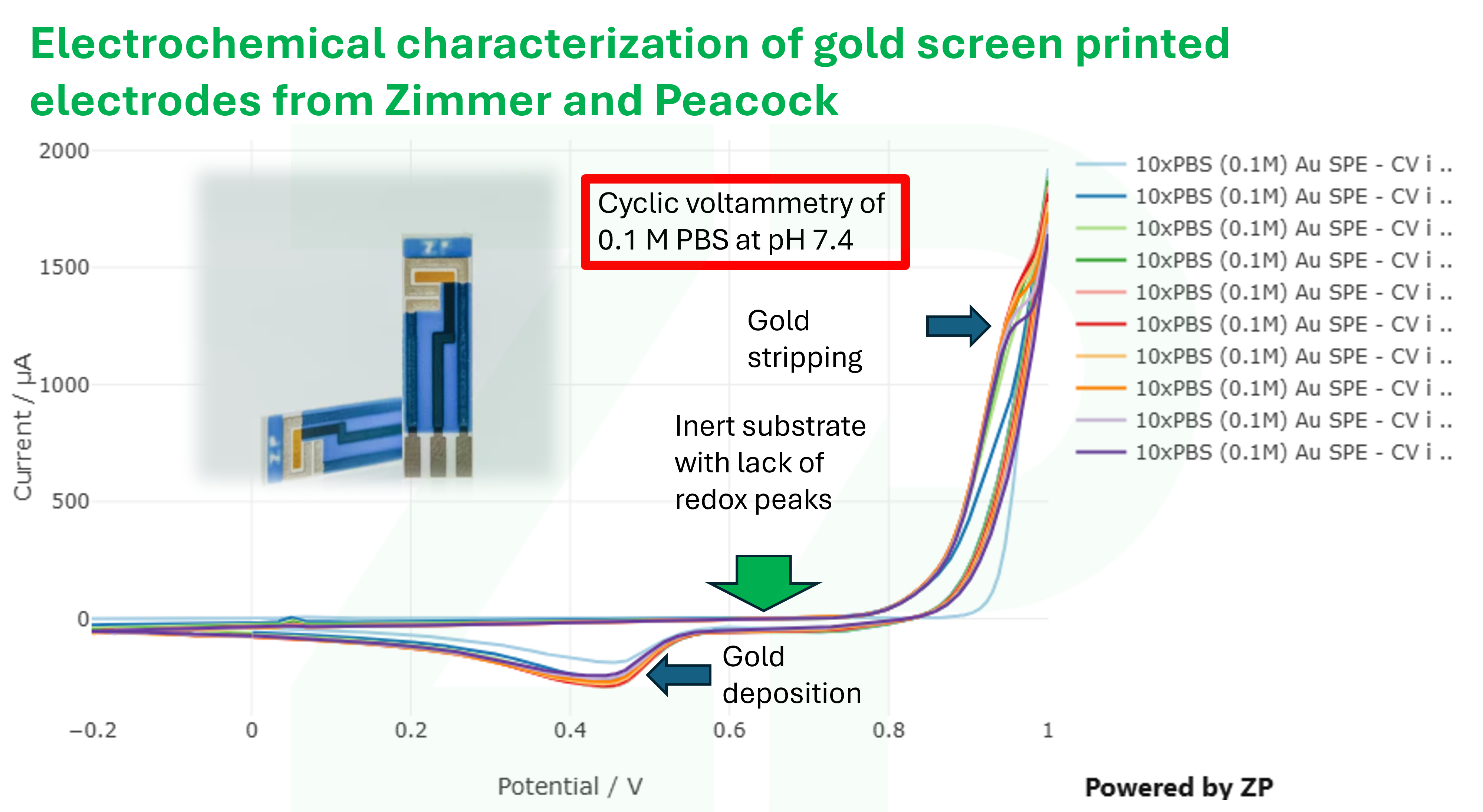 Cyclic voltammetry on a Gold Screen Printed Electrode