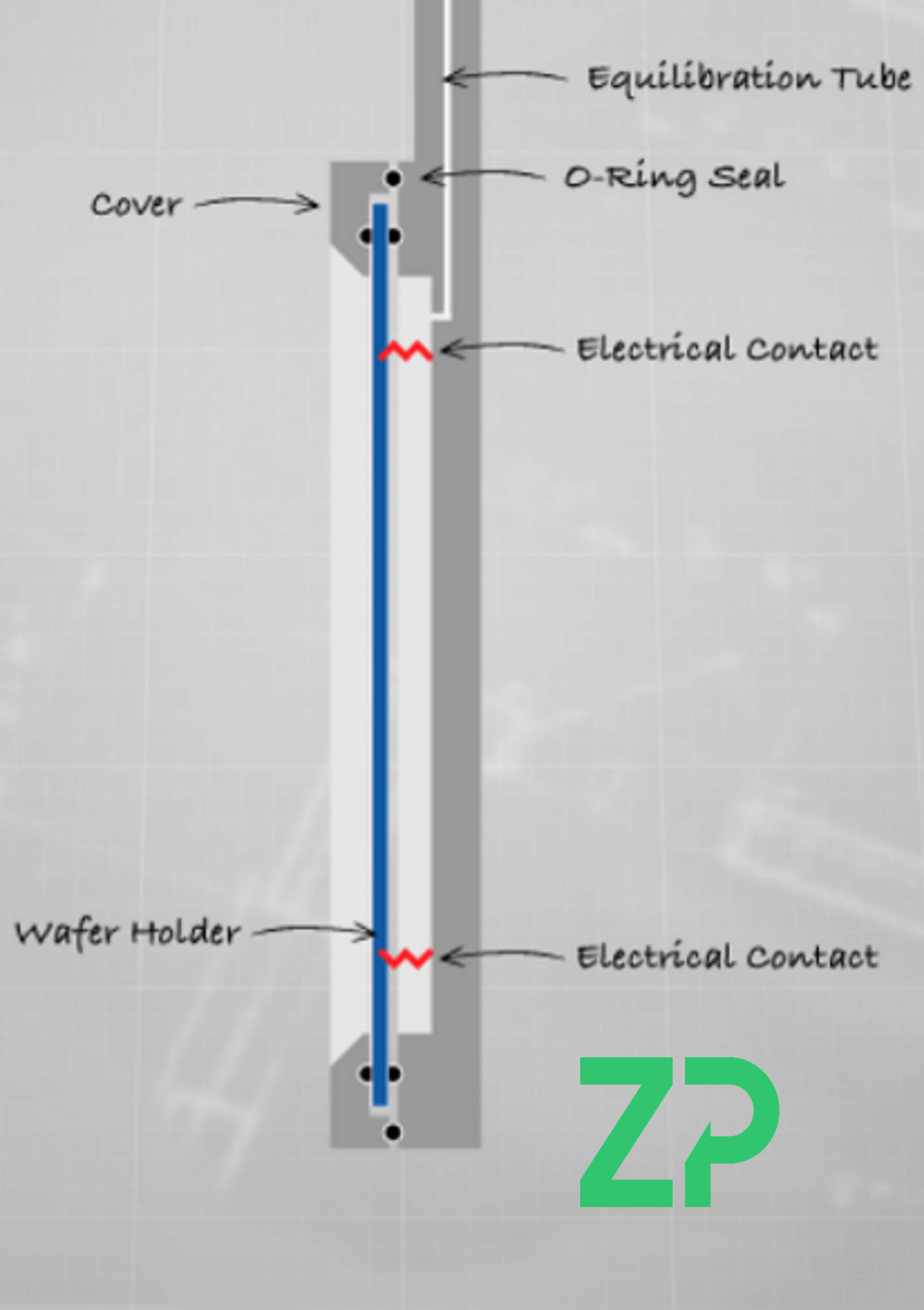 Wafer holder for electroplating wafers