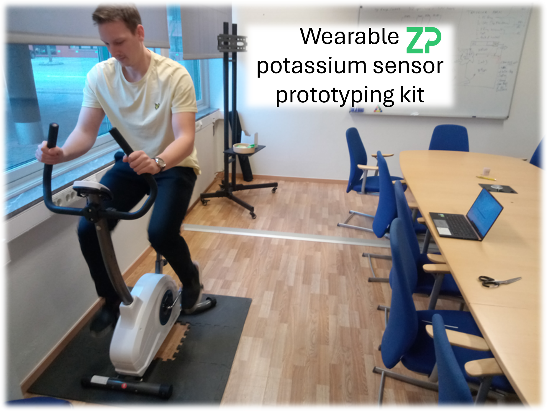 Components for a wearable potassium sensor