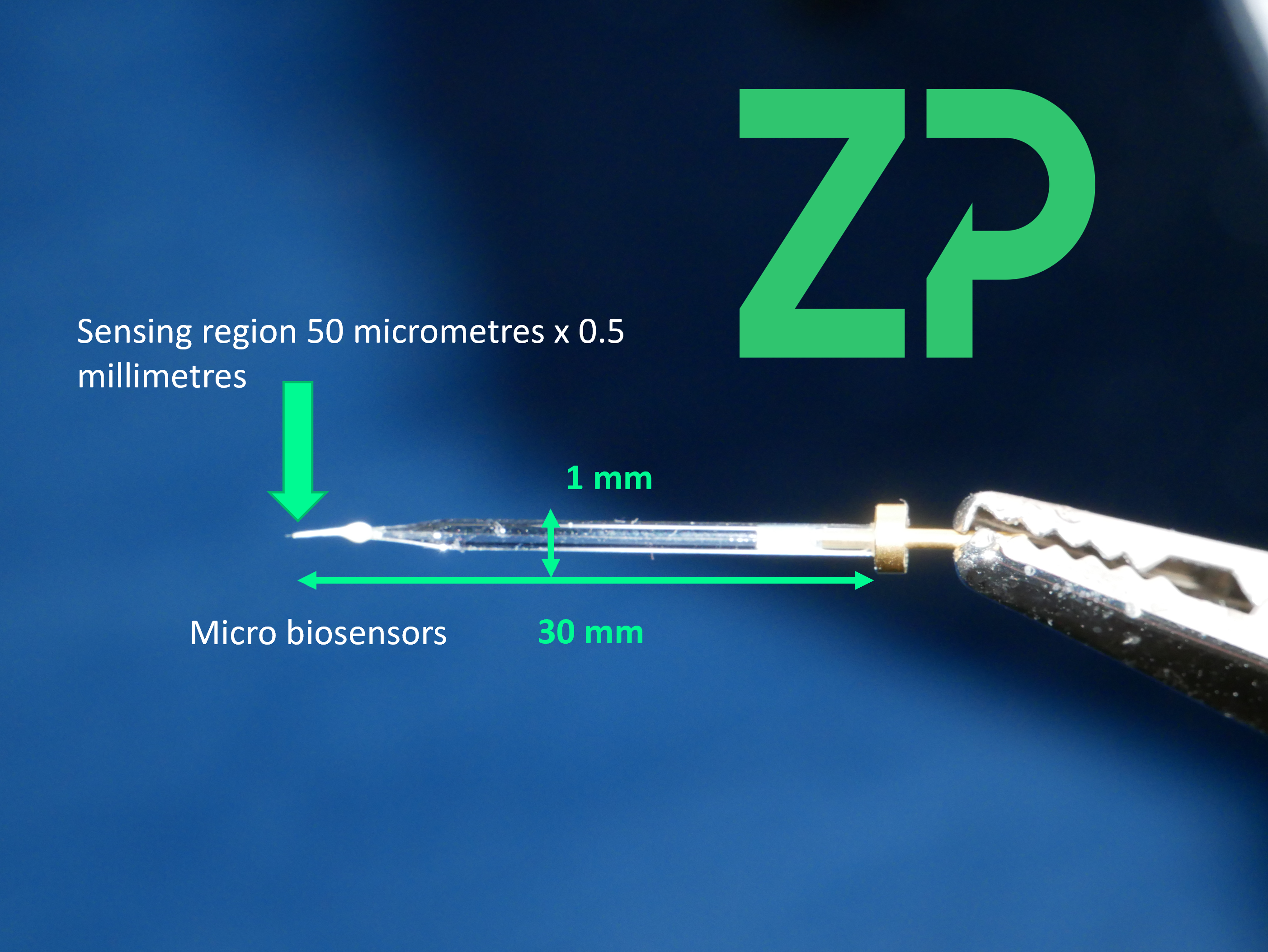 Microbiosensors from ZP