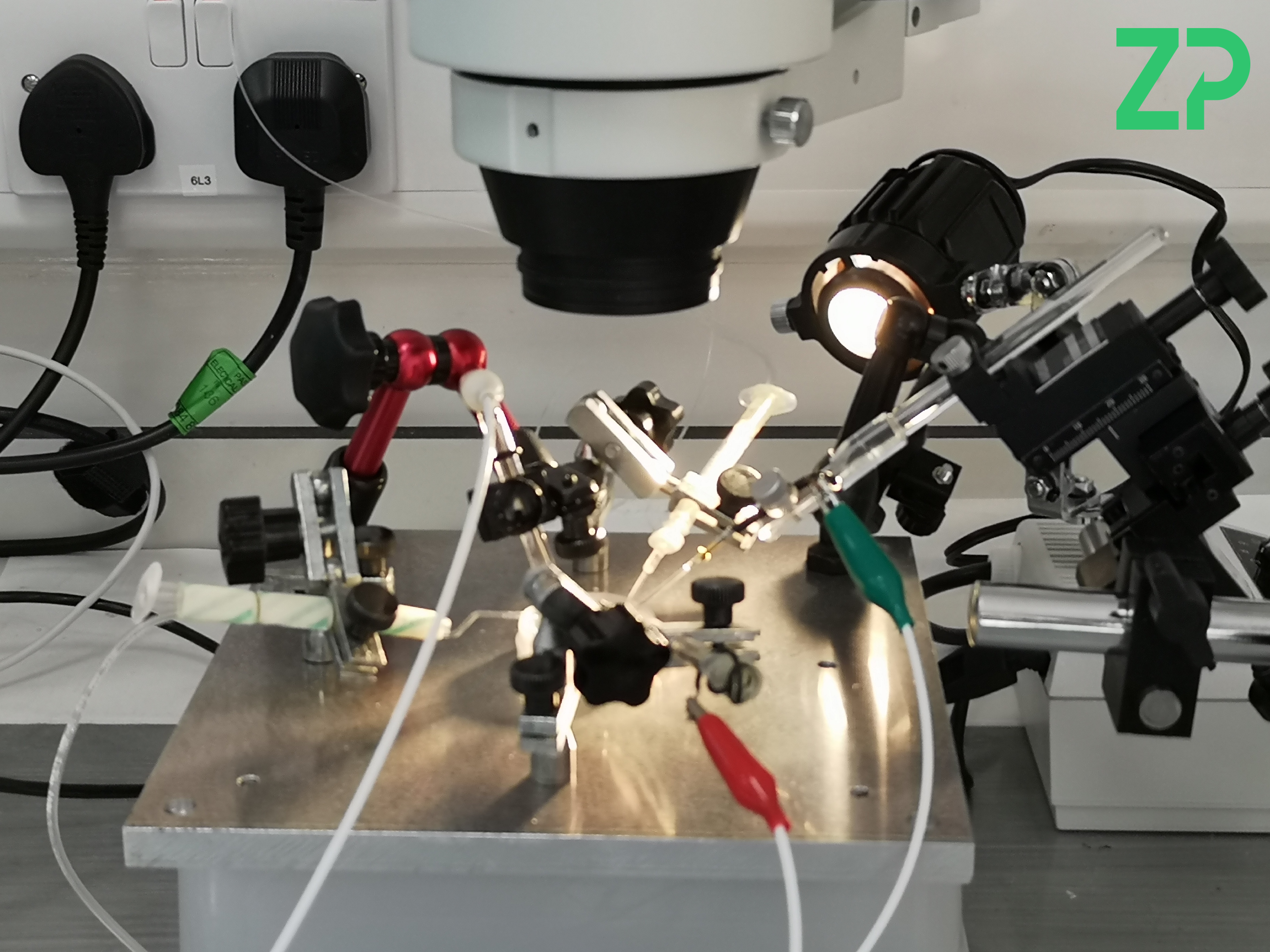 Micro-biosensors for Neuroscience